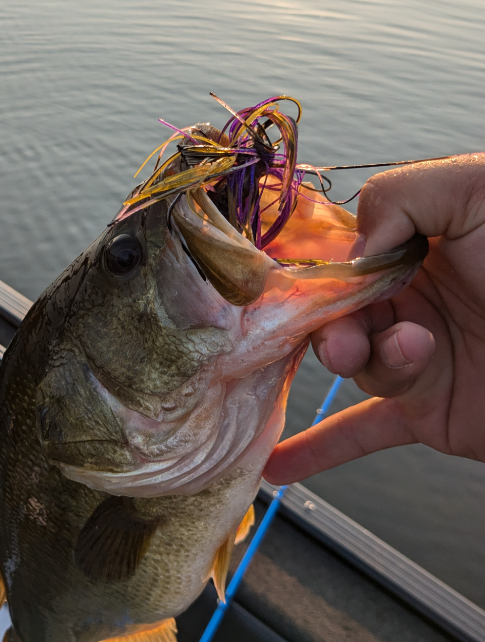 Tungsten Weedless Bass Jig